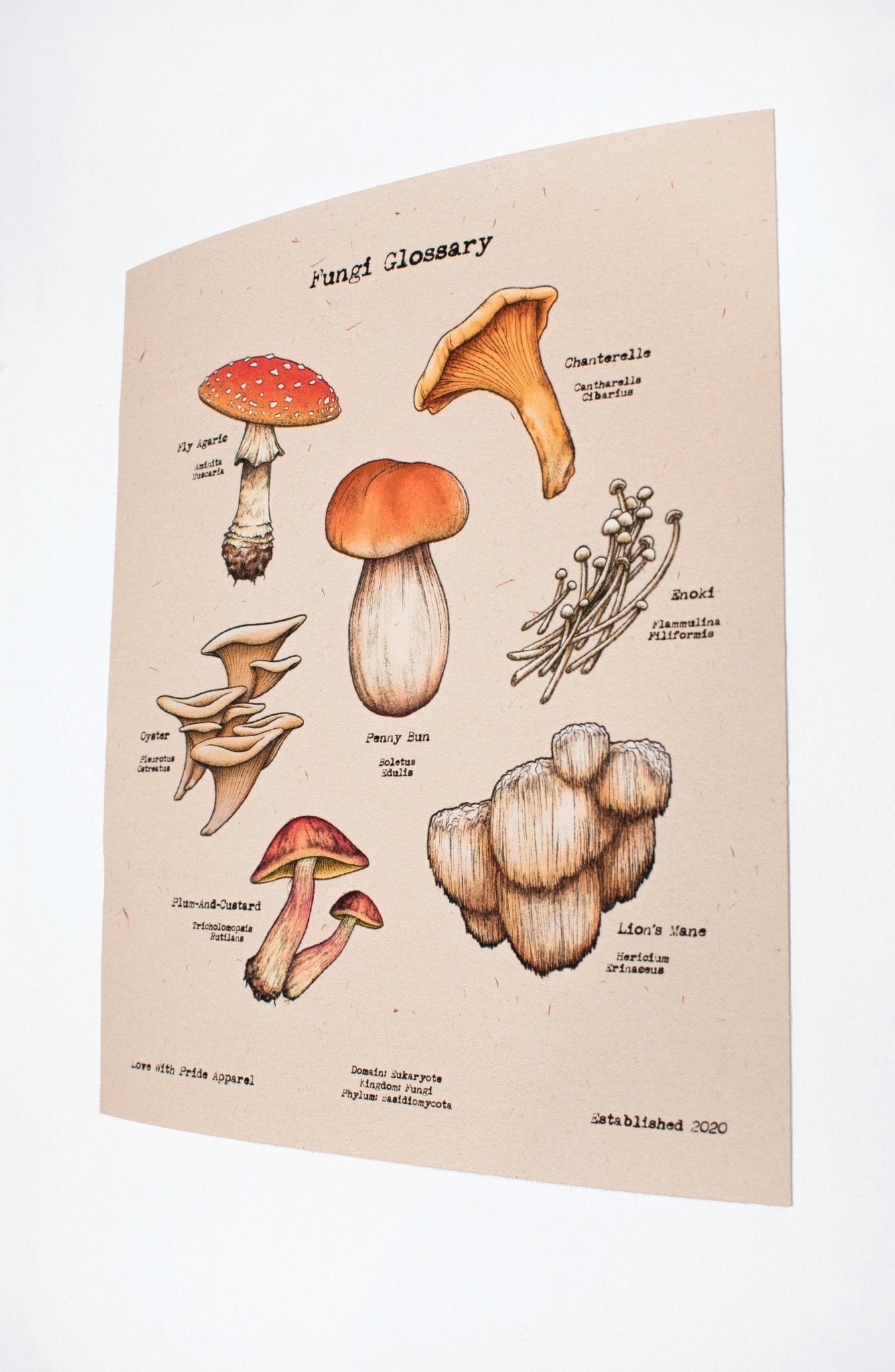 Fungi Glossary | Textured Print - Love With Pride Apparel