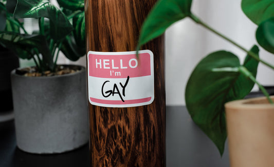 Hello I'm Gay | Sticker - Love With Pride Apparel